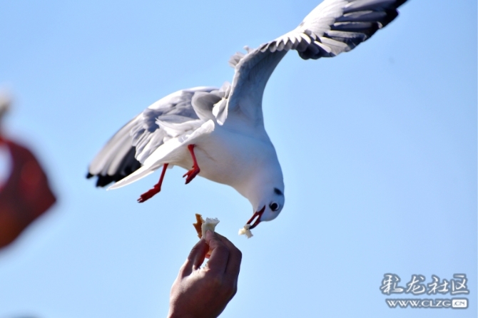 16486495979153444324472572505_5434 16486495979153444324472572505_5434