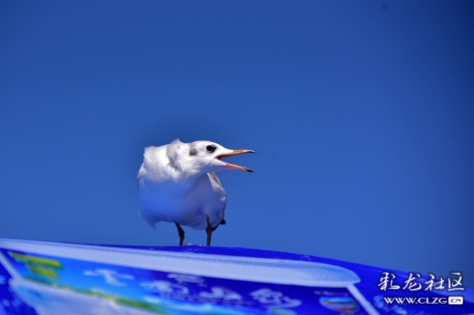 16486495976091725859125668494_5434 16486495976091725859125668494_5434