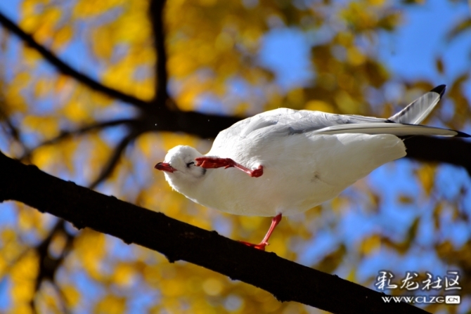 16486495975464527750260999537_5434 16486495975464527750260999537_5434