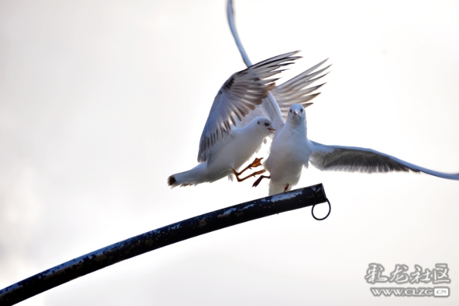 16486495977715348034717309730_5434 16486495977715348034717309730_5434