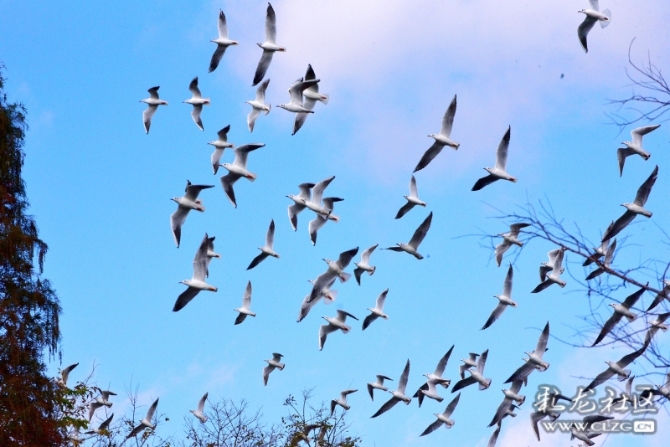 16486495975050709759333762148_5434 16486495975050709759333762148_5434