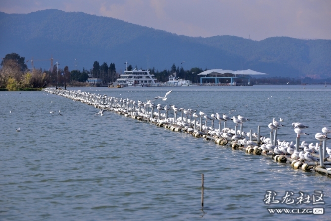 16486495975440940423948207912_5434 16486495975440940423948207912_5434