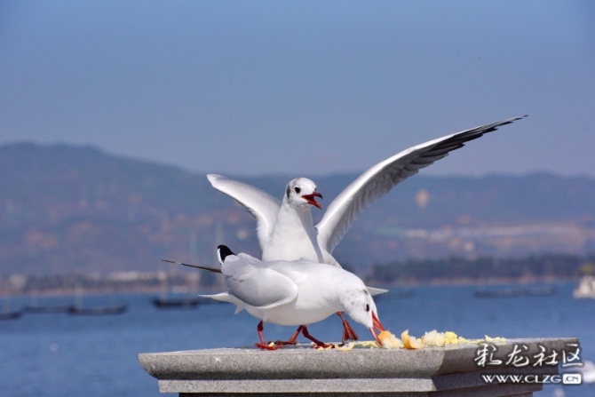 16486495976630909572660626434_5434 16486495976630909572660626434_5434