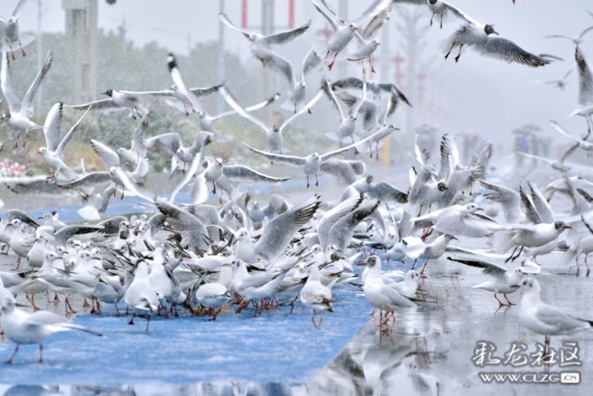 16486495975603801306517083502_5434 16486495975603801306517083502_5434