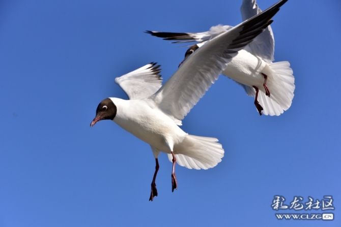 16486495977644060020660083119_5434 16486495977644060020660083119_5434