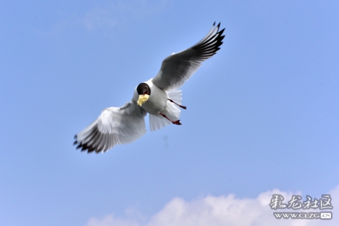 16486513897958602360498929665_5434 16486513897958602360498929665_5434