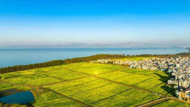 【清明踏春】呈贡江尾村(江尾社区 呈贡区融媒体中心 供图)