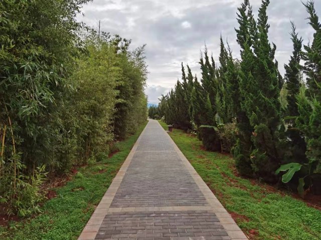 【清明踏春】呈贡江尾村(江尾社区 呈贡区融媒体中心 供图)