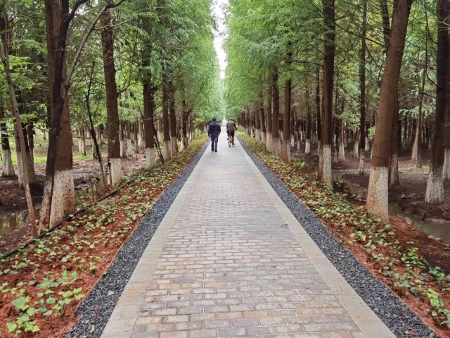 【清明踏春】呈贡江尾村(江尾社区 呈贡区融媒体中心 供图)