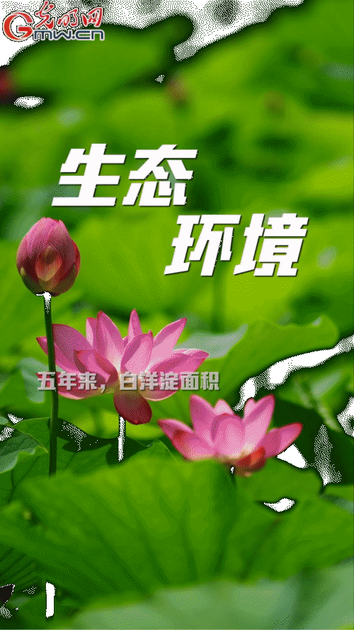 【“动”漫海报】雄安新区:五年奋进加速蝶变 未来之城欣欣向荣 【“动”漫海报】雄安新区:五年奋进加速蝶变 未来之城欣欣向荣