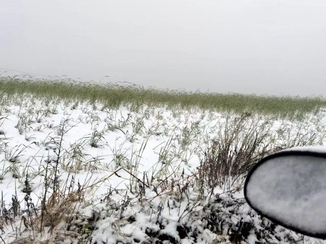 昆明东川下雪（图片来源东川区融媒体中心）