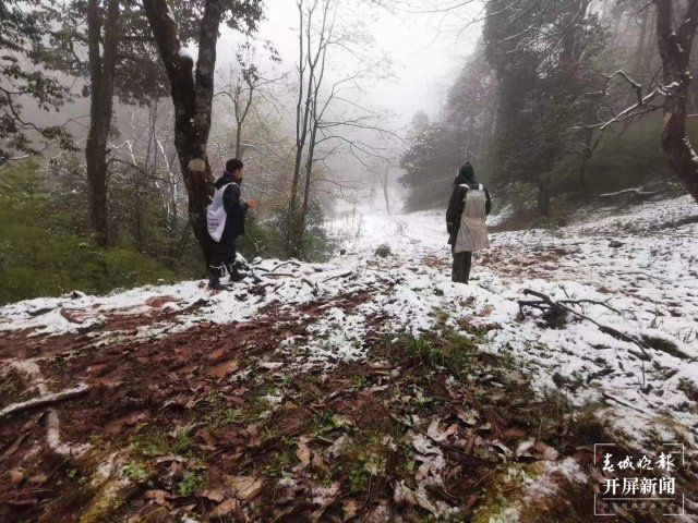 昭通下雪（开屏新闻记者 申时勋 通讯员 王远剑 马宏 陈婷 蒙秀顺 邓代林 摄）