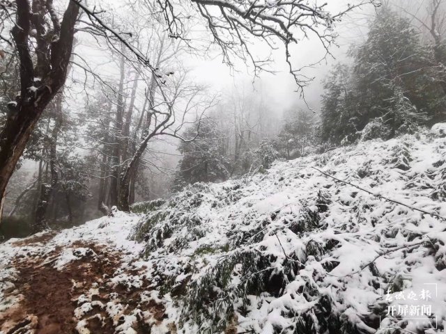 昭通下雪（开屏新闻记者 申时勋 通讯员 王远剑 马宏 陈婷 蒙秀顺 邓代林 摄）