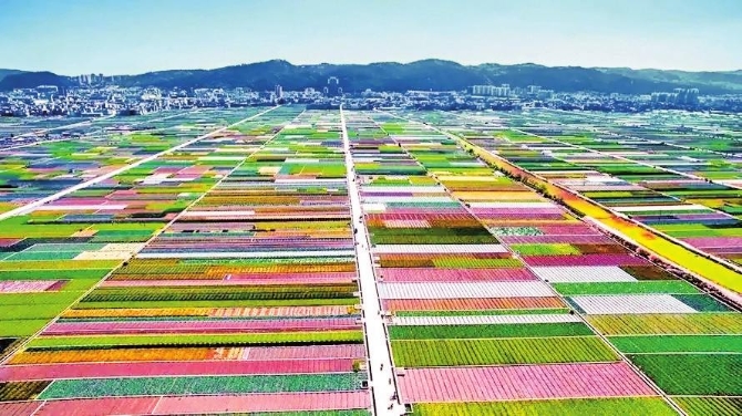 5ccd6c7d-d017-44f1-9b77-f2e35099ba1f