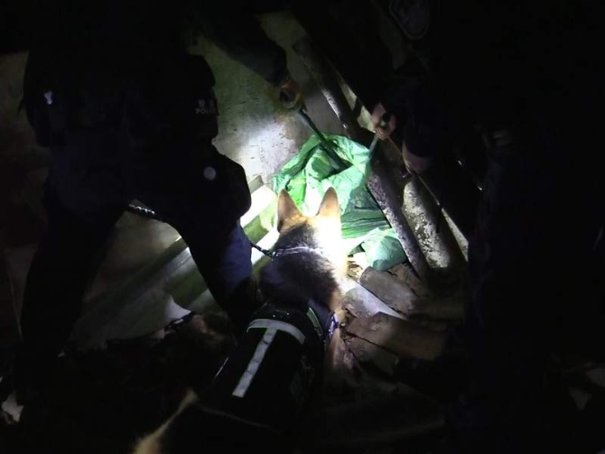 1649230513777098.png?x-oss-process=style/w10 图为警犬查获毒品的现场照片.png?x-oss-process=style/w10