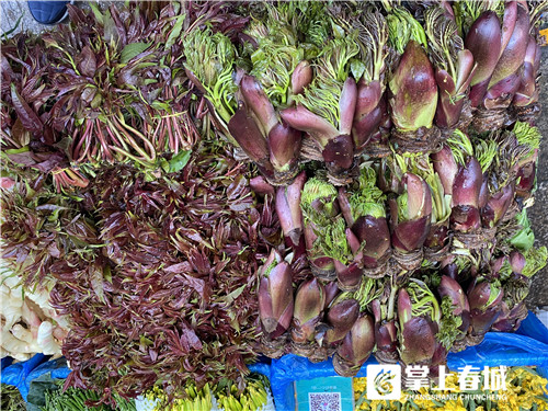 野菜