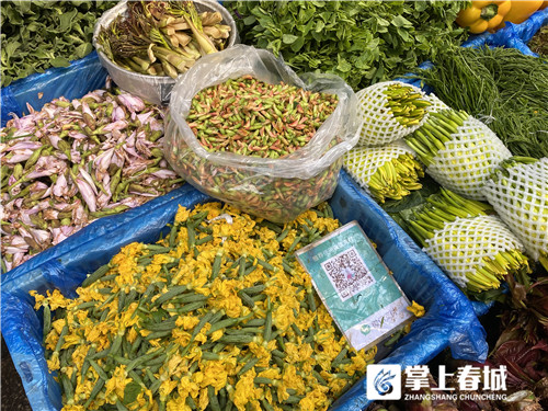 野菜