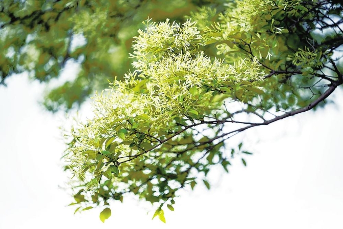 5fccdaf8-bdbc-4a7d-b4a1-90f083a55ffa.jpg 5fccdaf8-bdbc-4a7d-b4a1-90f083a55ffa.jpg