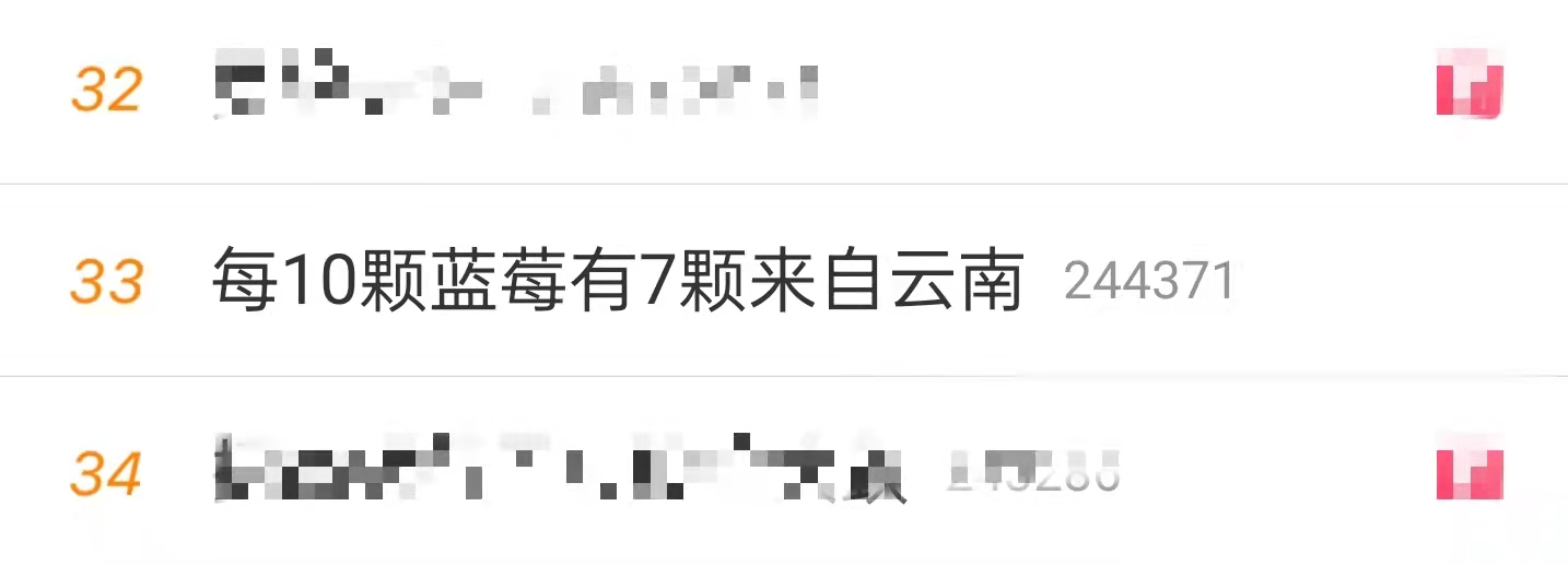 蓝莓
