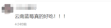 蓝莓