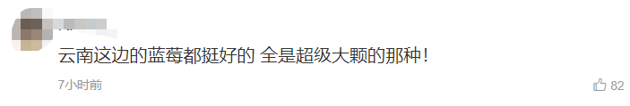 蓝莓