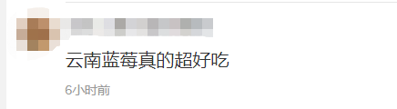 蓝莓