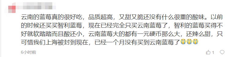 蓝莓