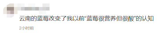 蓝莓