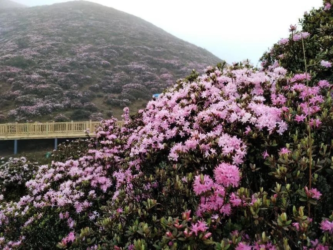 微信图片_20220422192047