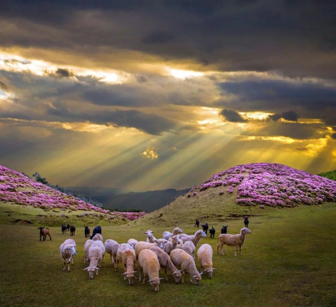 微信图片_202204221926073 微信图片_202204221926073