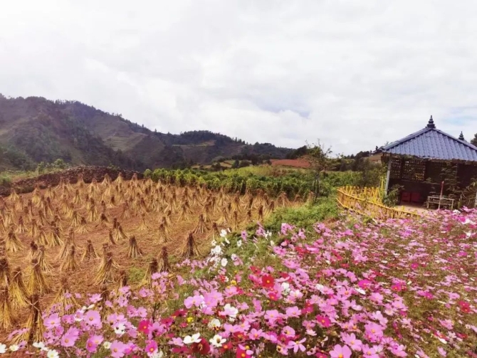 微信图片_202204221926134 微信图片_202204221926134