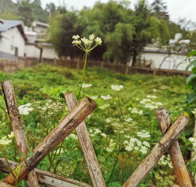 微信图片_202204221926367 微信图片_202204221926367