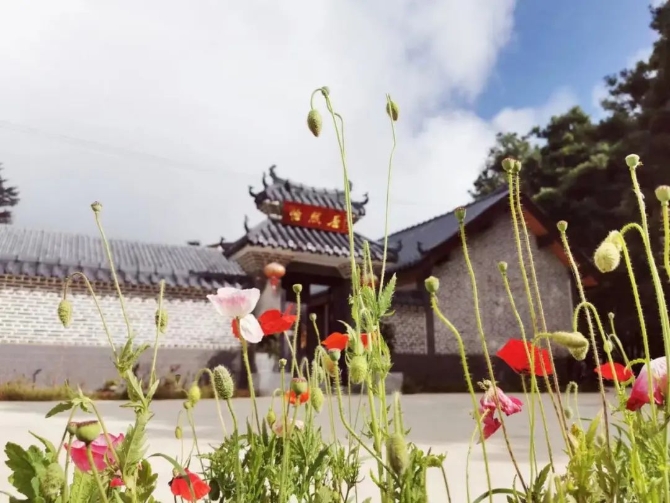 微信图片_202204221926428 微信图片_202204221926428