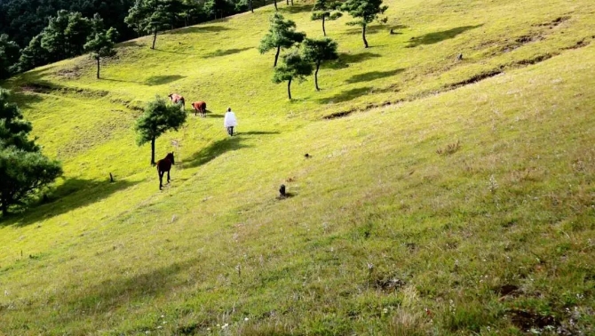 微信图片_2022042219265610 微信图片_2022042219265610