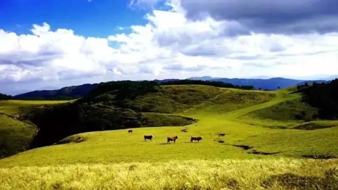 微信图片_2022042219270912 微信图片_2022042219270912