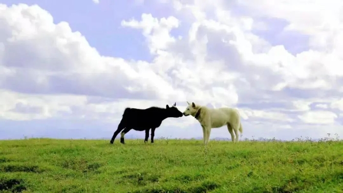 微信图片_2022042219271513 微信图片_2022042219271513