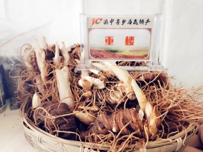 微信图片_2022042219274518 微信图片_2022042219274518