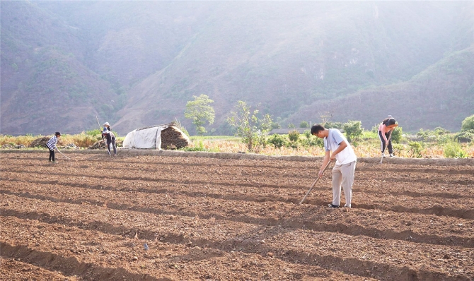 56373010685533415 56373010685533415