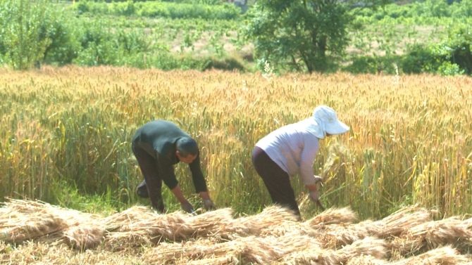 633c0f65e48240808f280b9447dc2f86 633c0f65e48240808f280b9447dc2f86