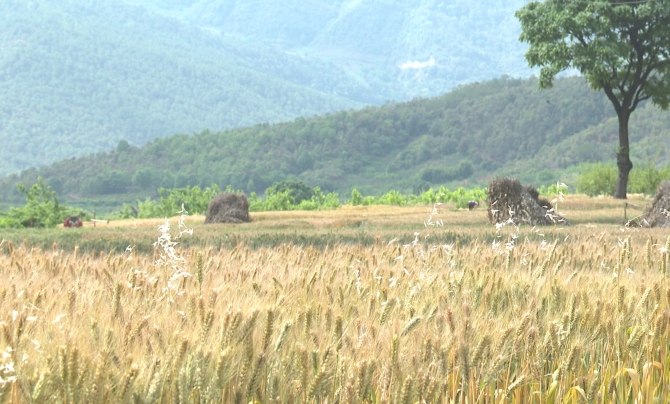 be41171125b3832563022ade11c7f75f be41171125b3832563022ade11c7f75f