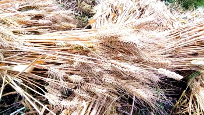 dc6e0965f30645e3fb8568378993f965 dc6e0965f30645e3fb8568378993f965