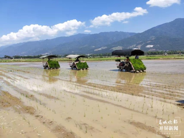 云南盈江：群众从吃得饱到村里遍地小洋楼