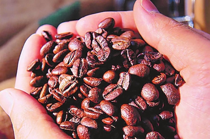 8a7ca822-25f0-4608-abed-d026c0fbec71.jpg 8a7ca822-25f0-4608-abed-d026c0fbec71.jpg