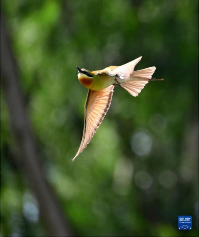 QQ截图20220505114201