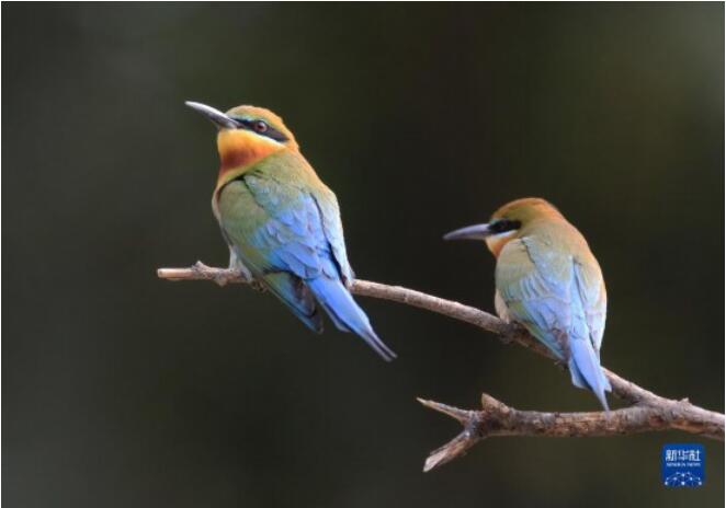 QQ截图20220505114249