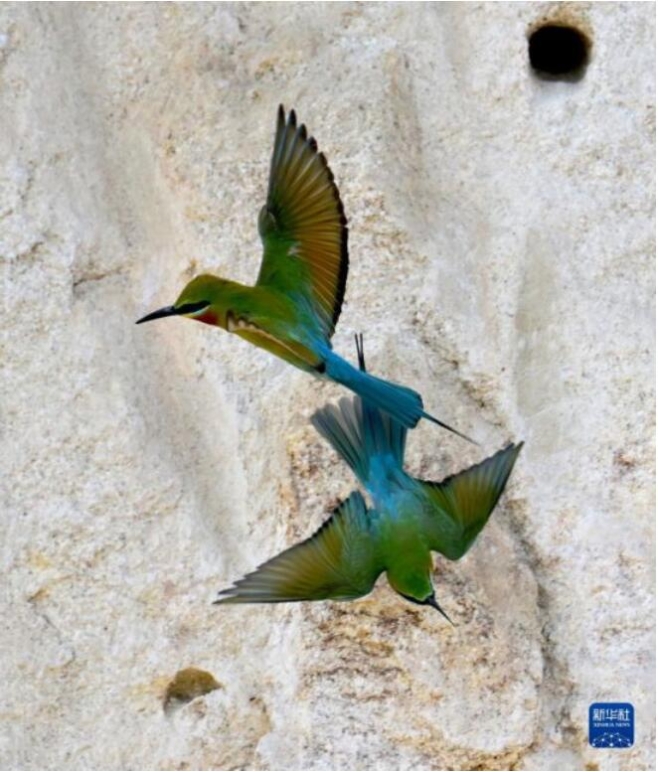 QQ截图20220505114347