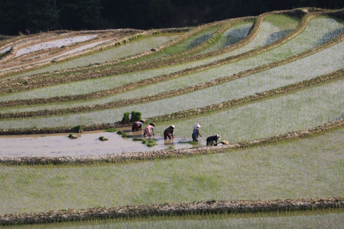 8071237cca97f98a939c6cd826fa5dfe (1) 8071237cca97f98a939c6cd826fa5dfe (1)