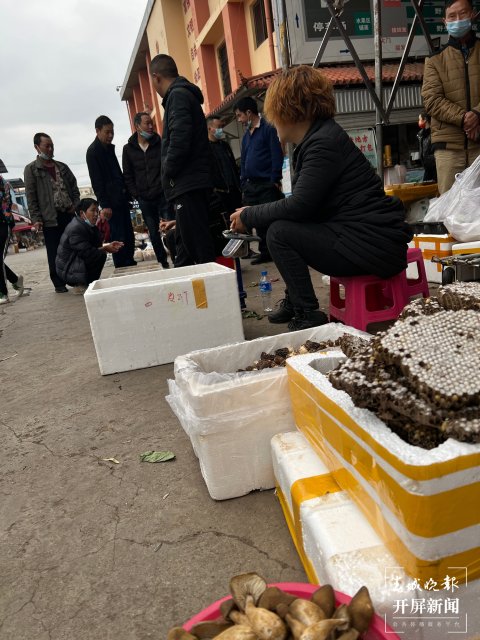 “五一”过后,野生菌渐多,云南木水花野生菌交易中心每天500公斤