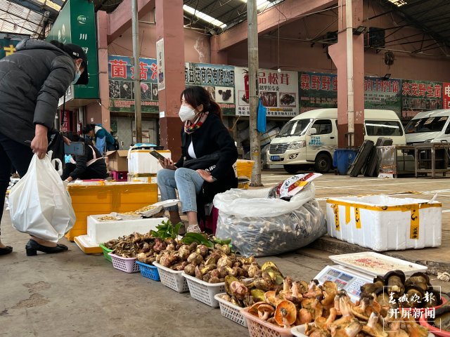 “五一”过后,野生菌渐多,云南木水花野生菌交易中心每天500公斤