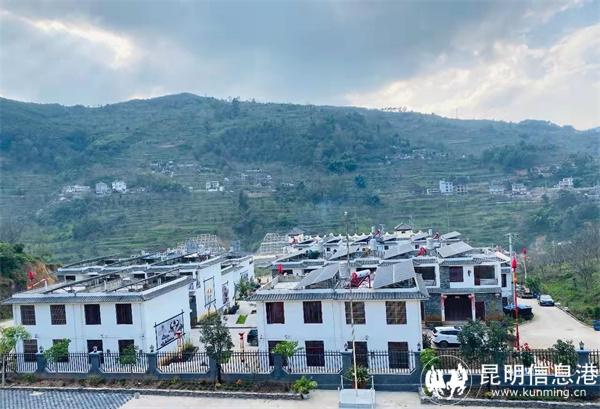 和平新区俯瞰图 和平新区俯瞰图